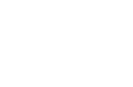 car-logo-vellfire-white